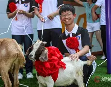 开云体育中国-布莱梅稳坐领头羊，胜利之路任重道远的简单介绍