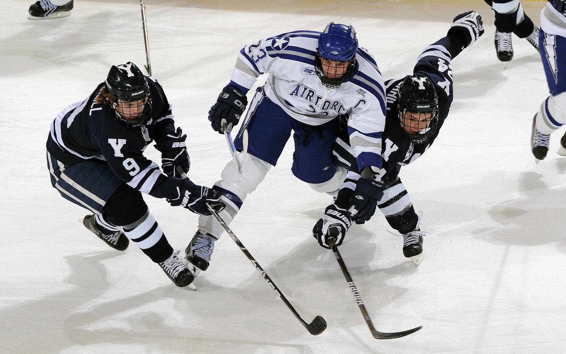 许昕跨界统治！德国乒乓球完胜法国